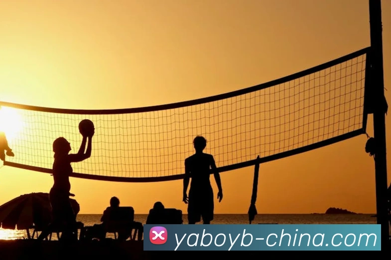 App Interface Preview