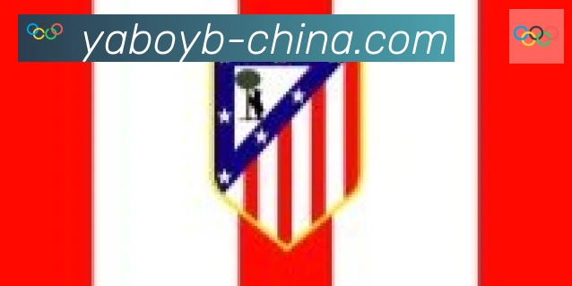 亚博体育合作伙伴